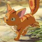 Portrait de Jean-Luc